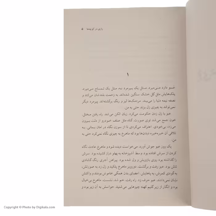 کتاب رازی در کوچه ها اثر فریبا وفی