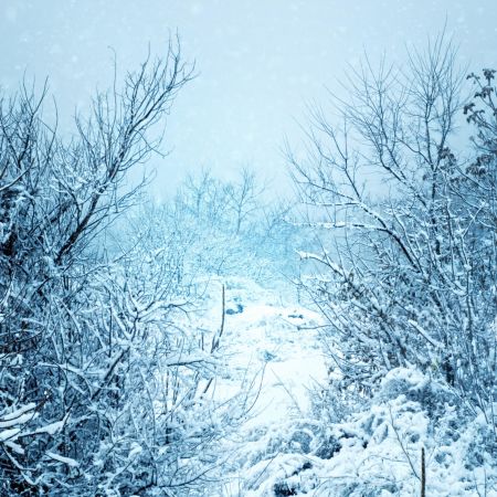 خرید و دانلود عکس Nature-Part-23 کد 36170 | پیک فاکس | Pic Fox