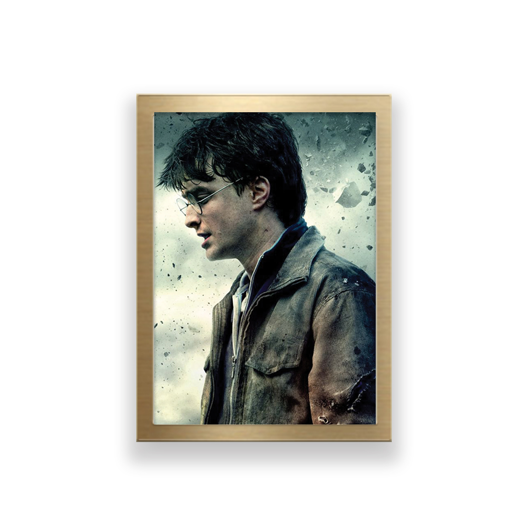 تابلو طرح فیلم هری پاتر 