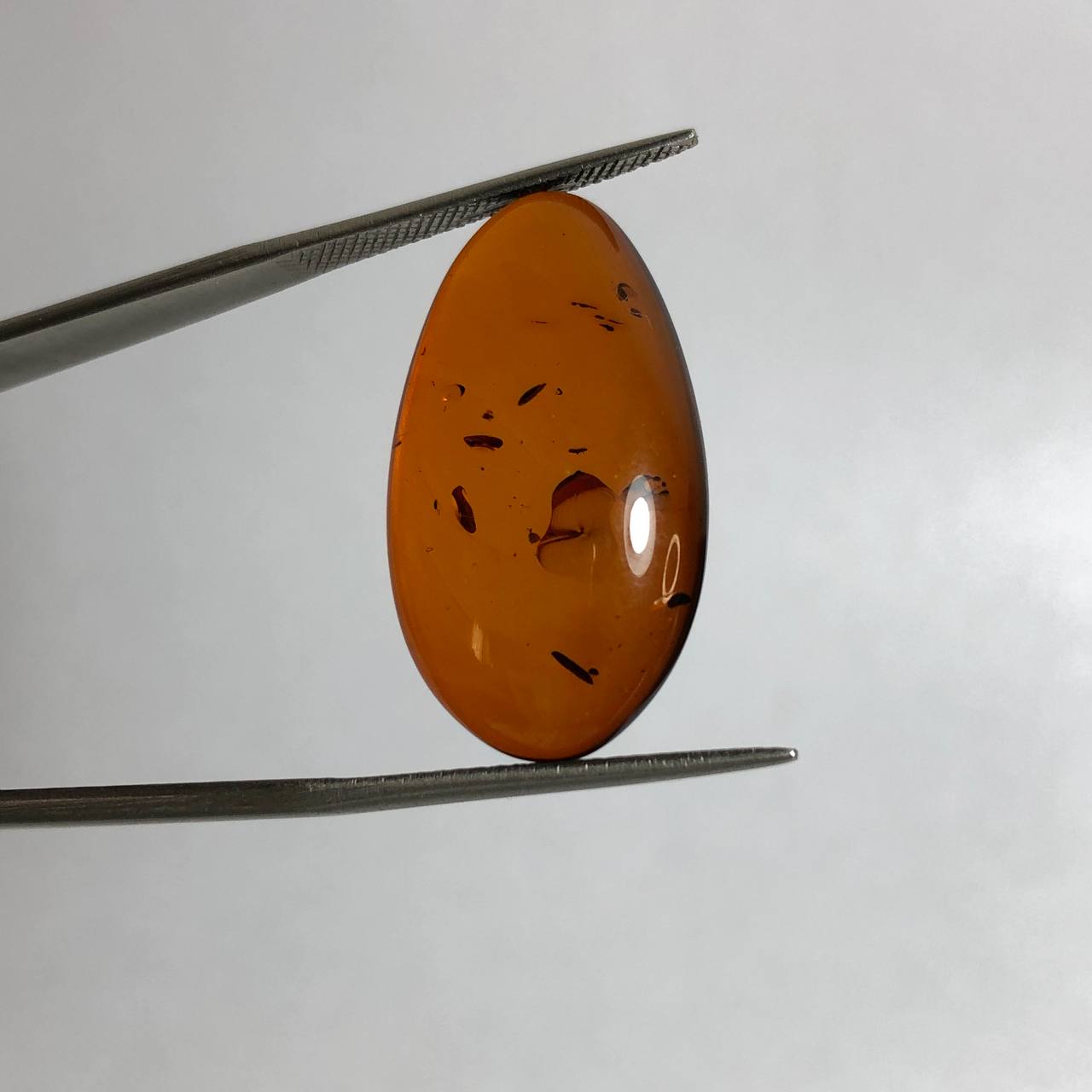 نگین کهربا طبیعی لهستان 240323