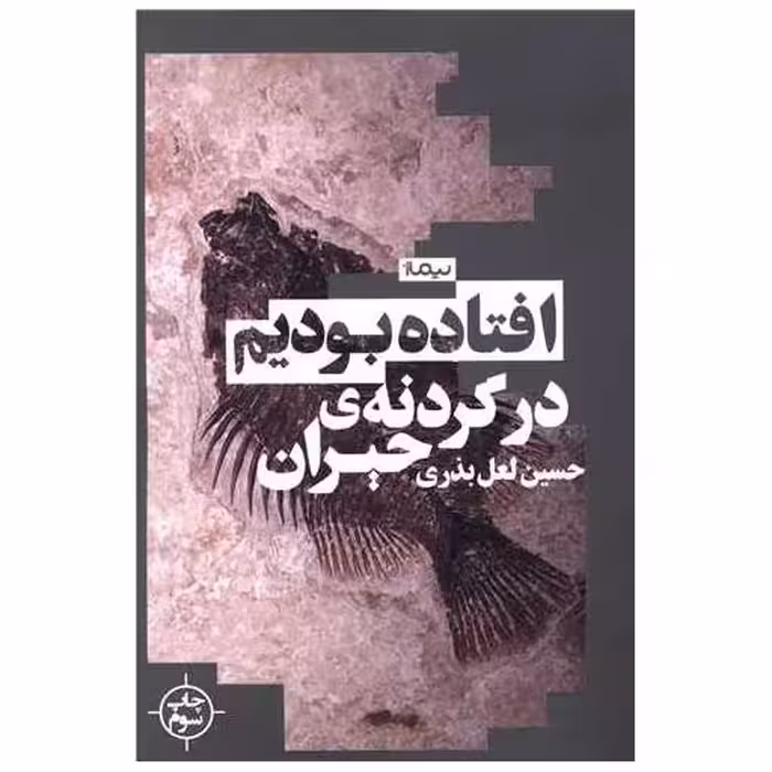 کتاب افتاده بودیم در گردنه حیران اثر حسین لعل