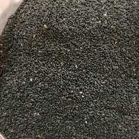 تخم شربتی (100 گرمی) 
               زعفران جمالی