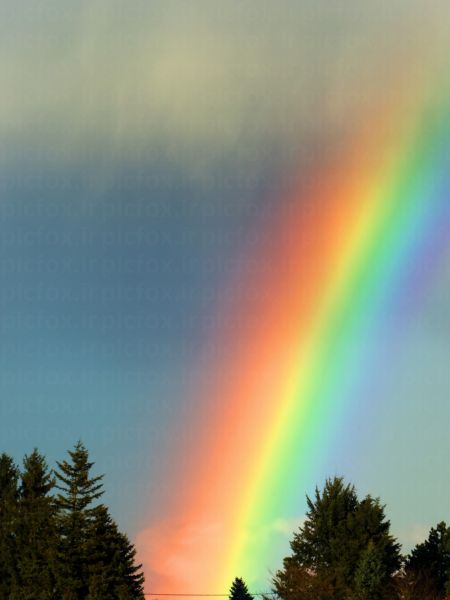 خرید و دانلود عکس Nature-Part-6 کد 37034 | پیک فاکس | Pic Fox