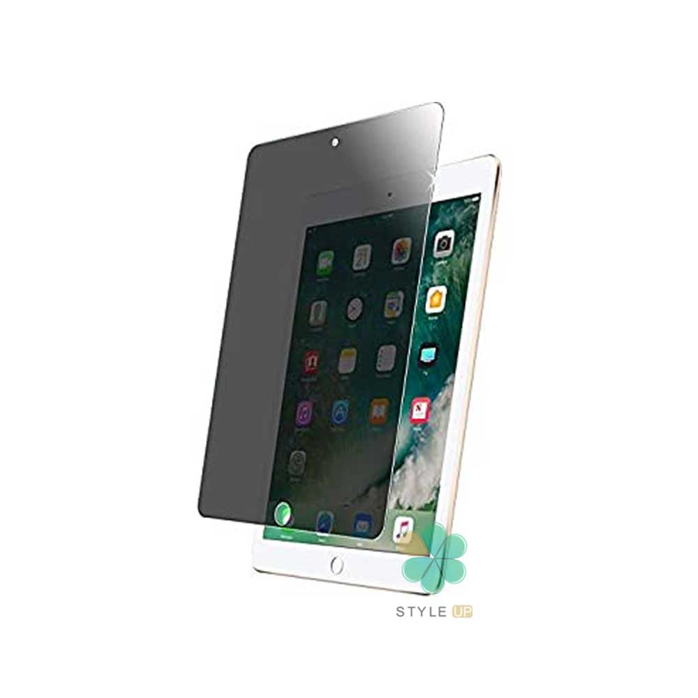 گلس پرایوسی آیپد اپل Apple iPad Pro 9.7 2016