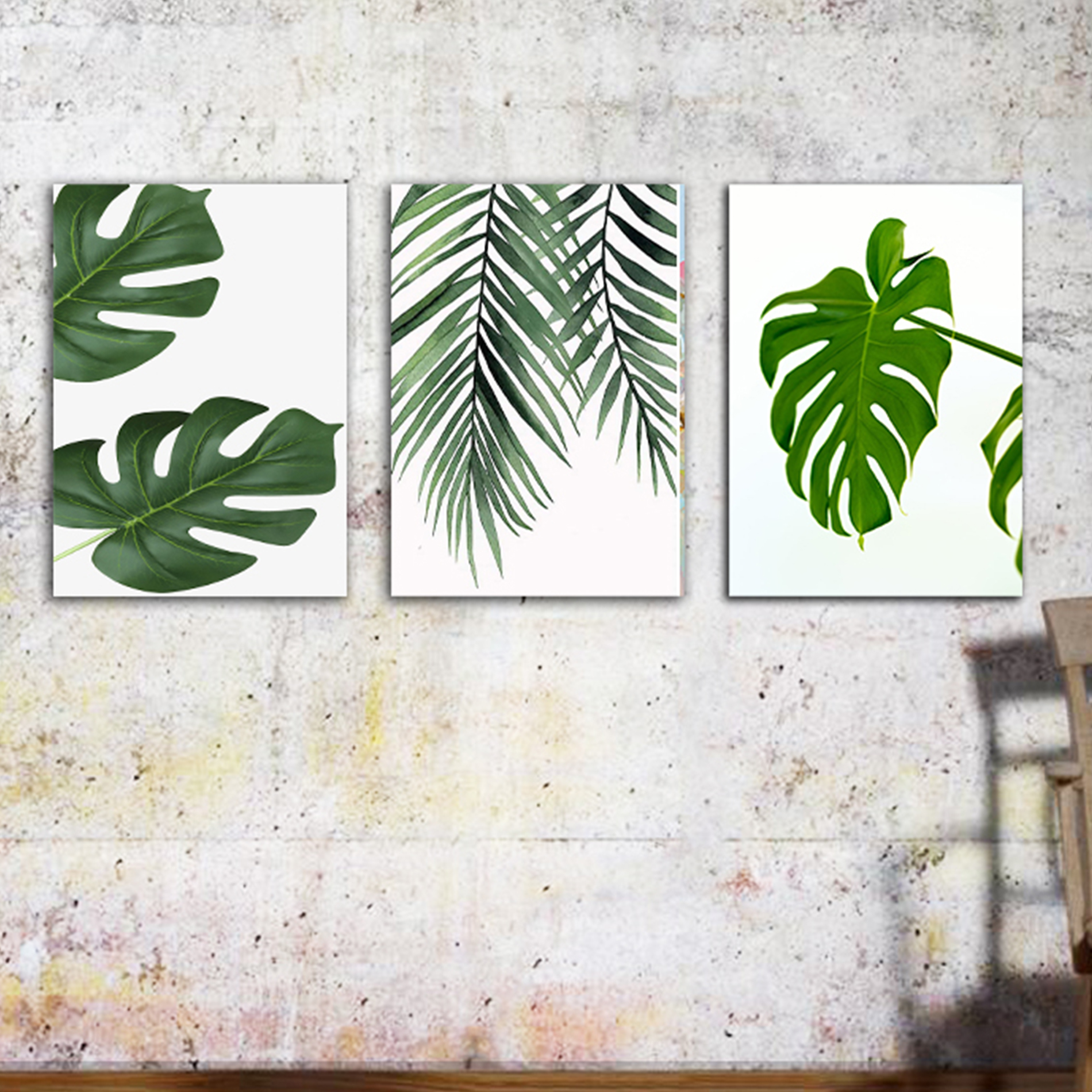 تاببو بوم مدل برگ های انجیری مجموعه 3 عددی