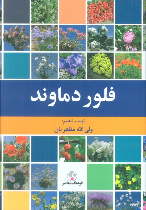 فلور دماوند (گلاسه) - ناشربوک | خرید آنلاین کتاب