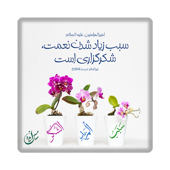 کاشی مبین ایده مدل حدیث km10 کد 989