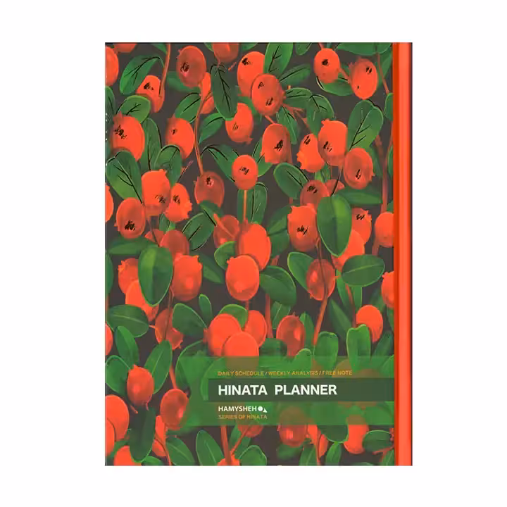 پلنر  مدل hinata همیشه