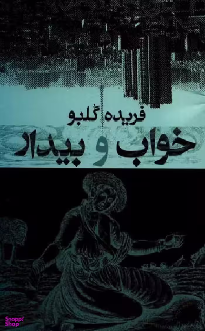کتاب خواب و بیدار اثر فریده گلبو انتشارات معین