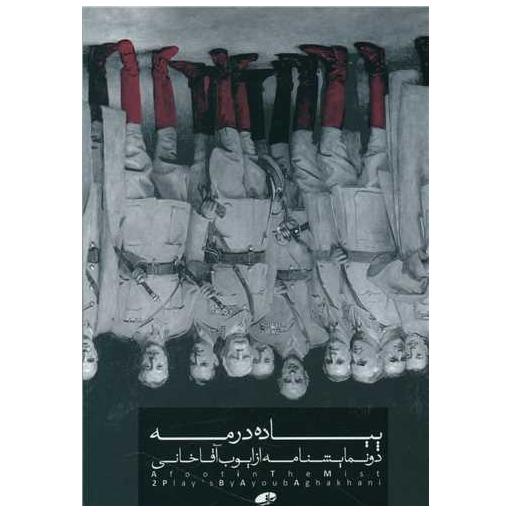 کتاب پیاده در مه اثر ایوب آقاخانی
