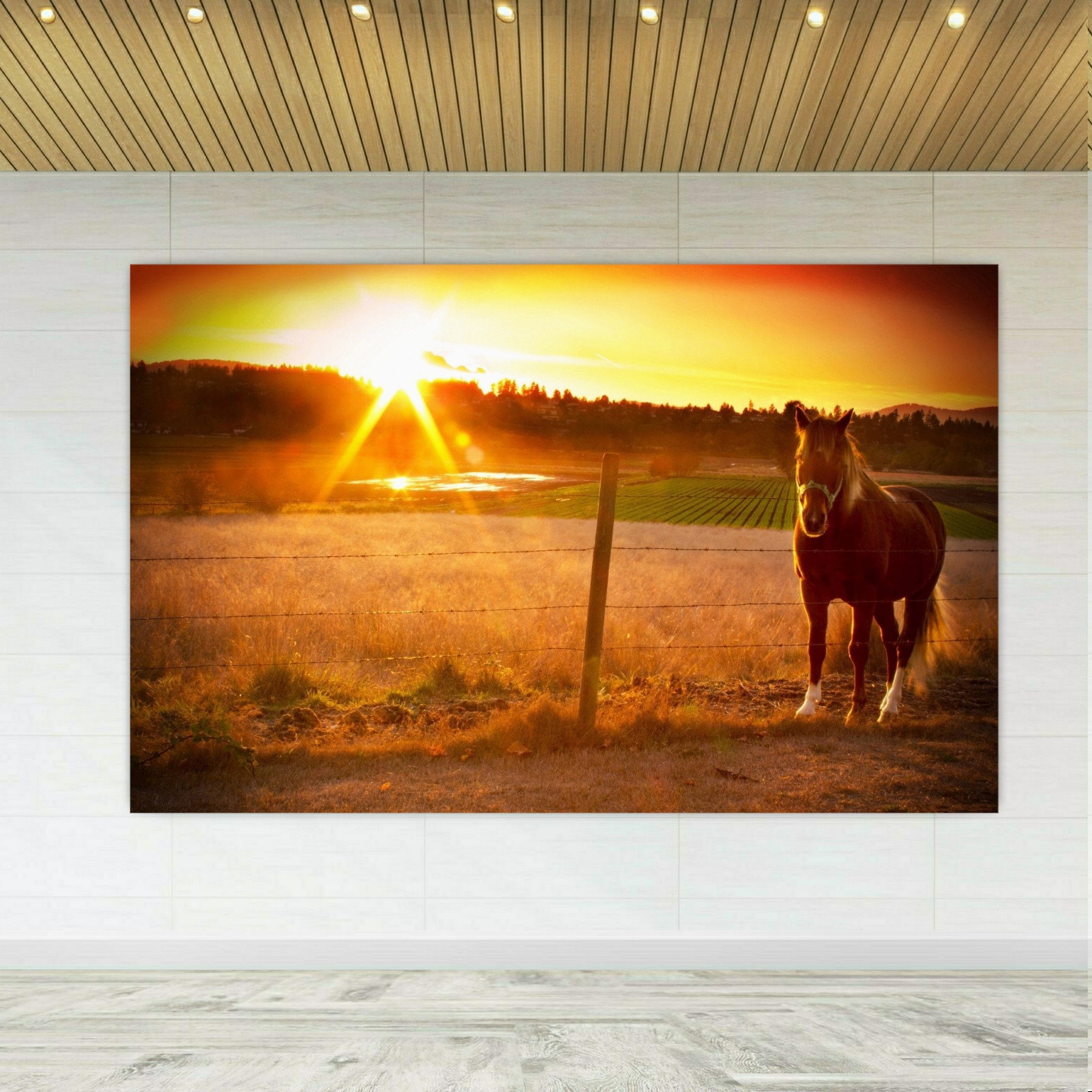 تابلو بوم طرح اسب در غروب آفتاب مدل SDB1451