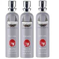عطر جیبی مردانه برد برند کالکشن مدل اینوکتوس حجم 25 میلی لیتر مجموعه 3 عددی