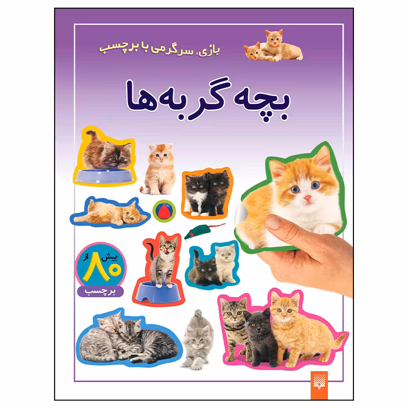 کتاب بچه گربه ها اثر راحله عابدین نیا انتشارات پیدایش