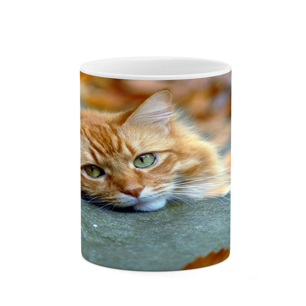 ماگ کاکتی طرح گربه مدل mgs15783