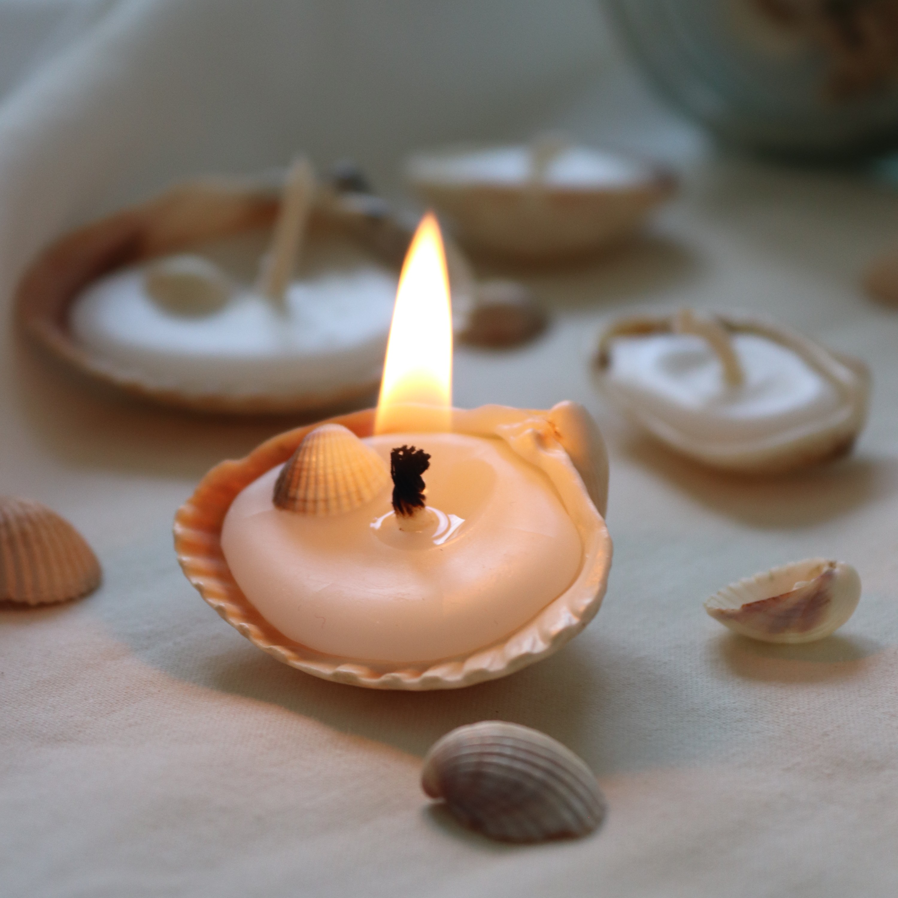 شمع صدف بزرگ همراه با اشانتیون