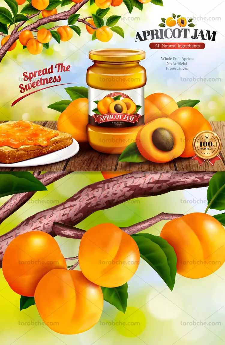 وکتور تبلیغاتی مربای زردآلو | گرافیک با طعم تربچه