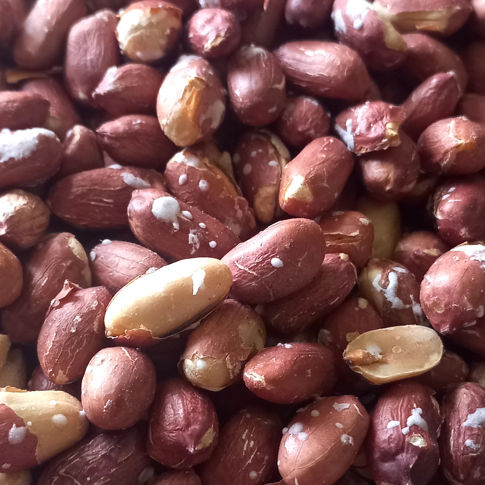 بادام زمینی درشت 500گرمی