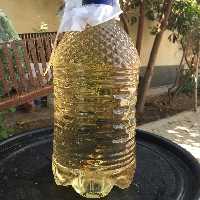 سرکه قرمز