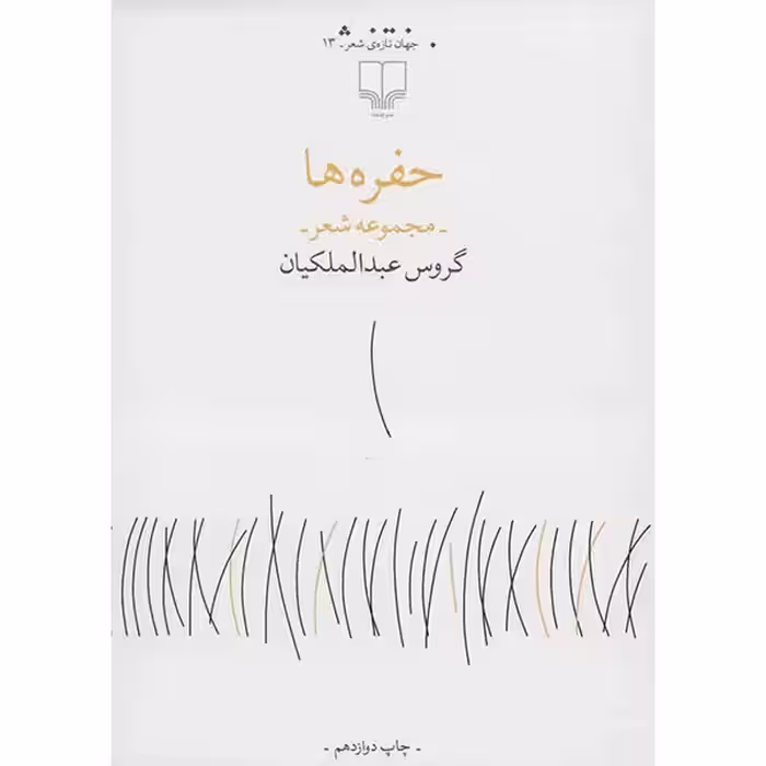 کتاب حفره ها اثر گروس عبدالملکیان