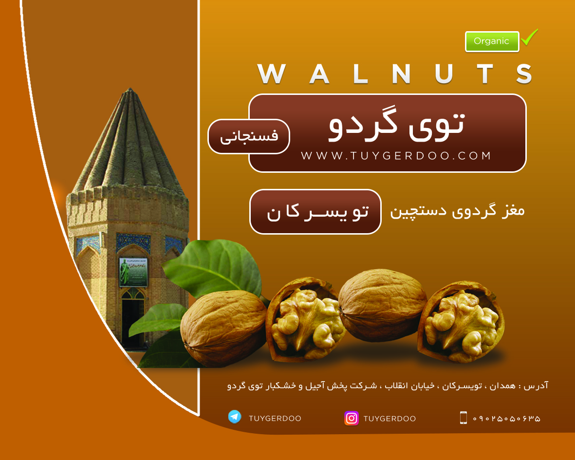 مغز گردو فسنجانی تویسرکان ـ 500 گرم