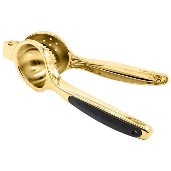 آبلیموگیر طلایی ریور RIVER