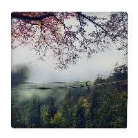  کاشی کارنیلا طرح دریا و جنگل کد wkk787