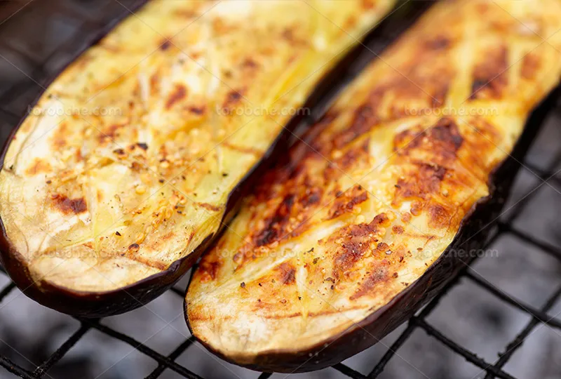 عکس بادمجان کبابی | گرافیک با طعم تربچه