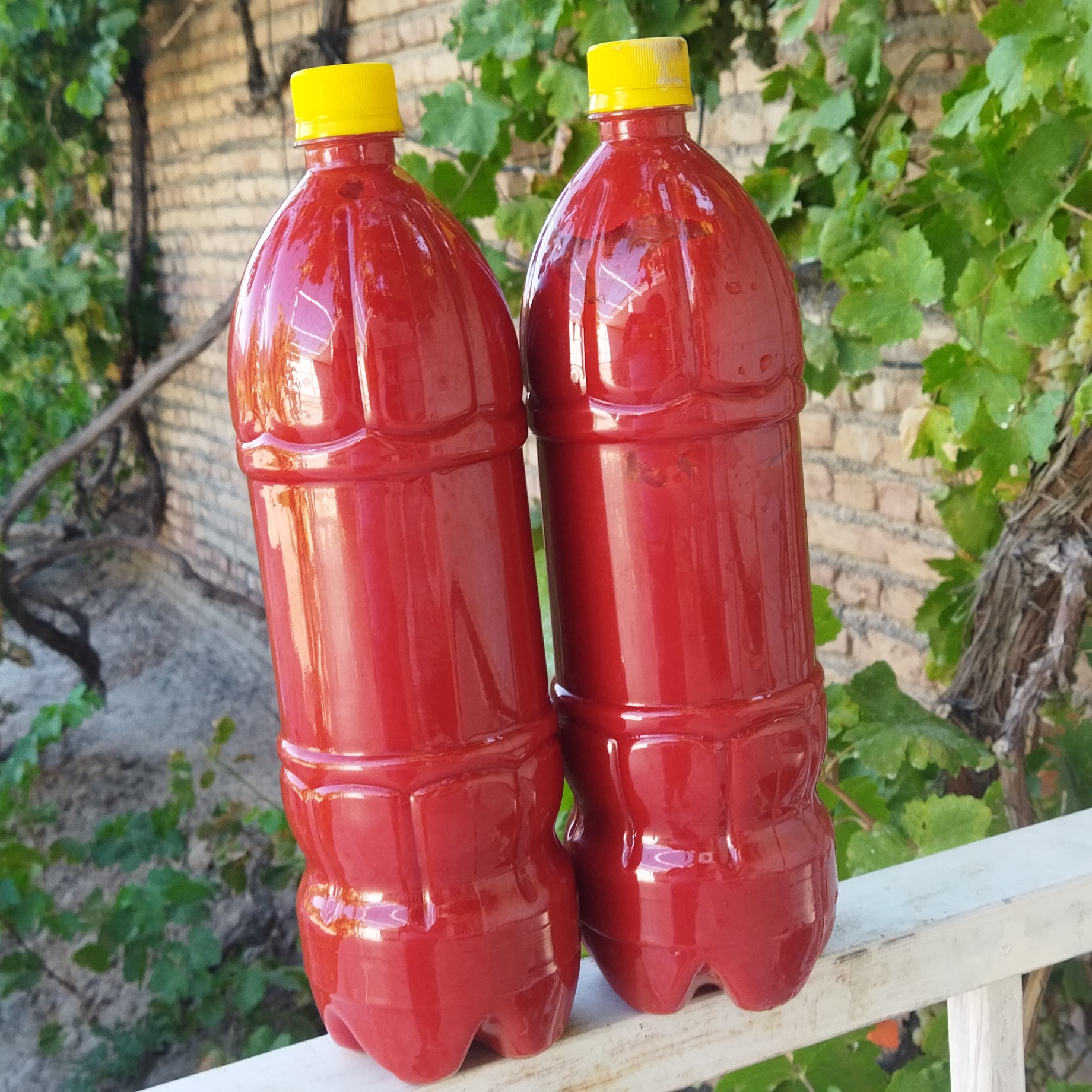 رب گوجه فرنگی1300کیلوگرم فرنگی