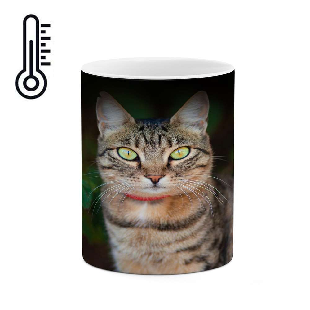 ماگ حرارتی کاکتی طرح گربه مدل mgh14083