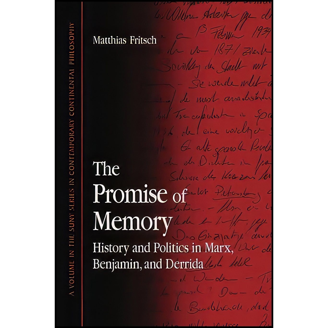 کتاب زبان اصلی The Promise of Memory اثر Matthias Fritsch