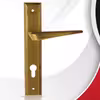 دستگیره در مدل A110 سویچی MODERN پلاک بسته 2 عددی