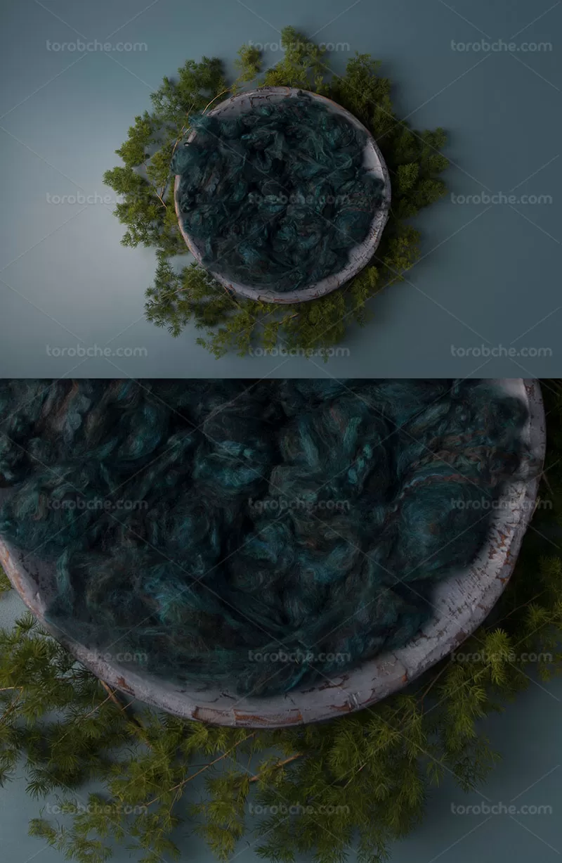 بکگراند عکاسی نوزاد با برگ | گرافیک با طعم تربچه