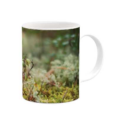 ماگ طرح قارچ مدل mgs07209