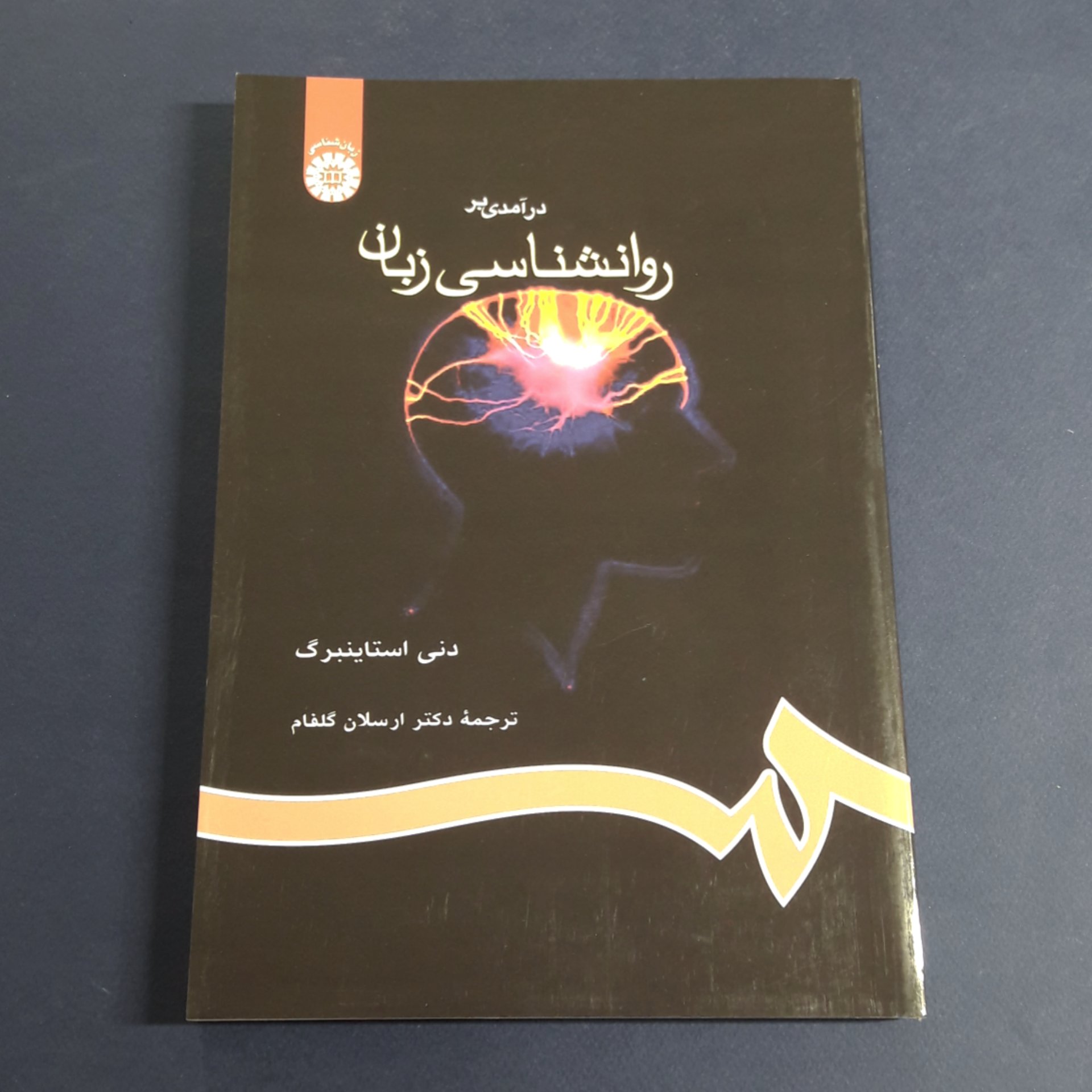کتاب درآمدی بر روان شناسی زبان اثر دنی استاینبرگ مترجم ارسلان گلفام انتشارات سمت