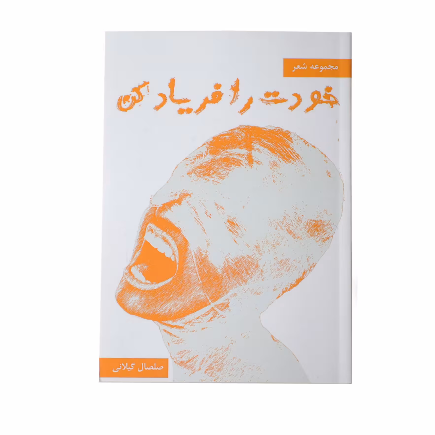 کتاب خودت را فریاد کن اثر صلصال گیلانی نشر خیابان