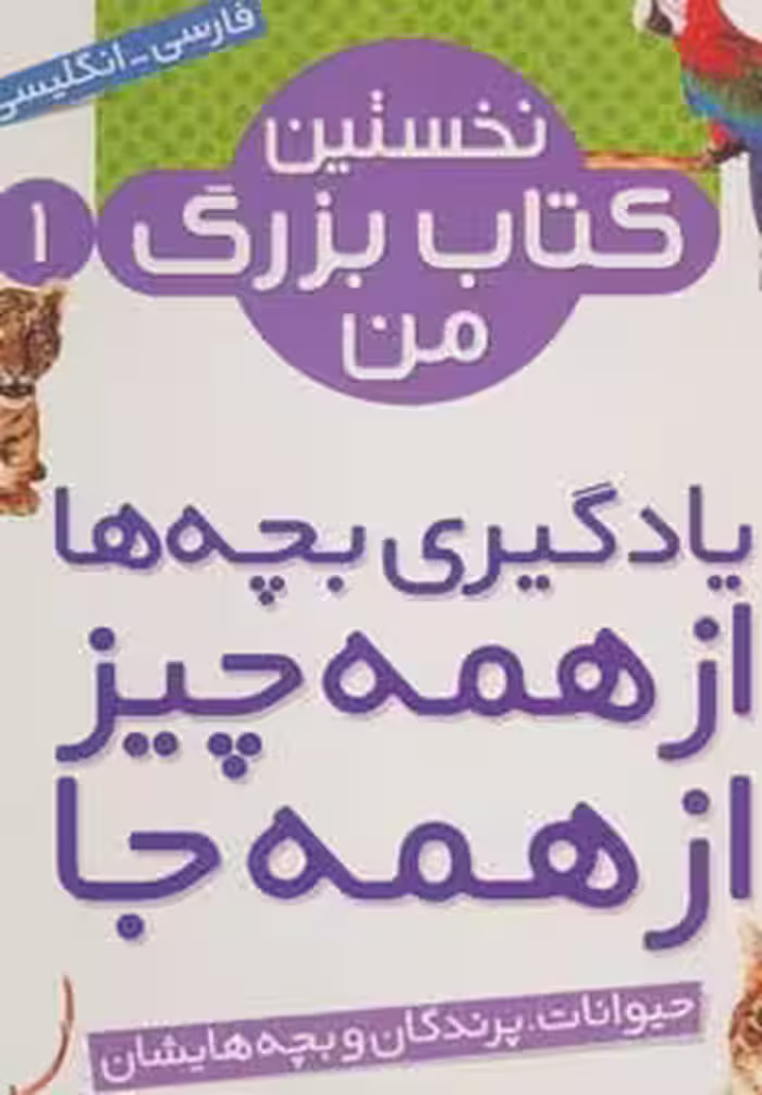 مجموعه نخستین کتاب بزرگ من (2زبانه،8جلدی،گلاسه) - ناشربوک | خرید آنلاین کتاب