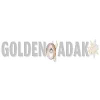 پولکی سیلندر لیفان 620 - گلدن یدک