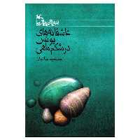 کتاب عاشقانه ‌های یونس در شکم ماهی اثر جمشید خانیان انتشارات کانون پرورش فکری کودکان و نوجوانان
