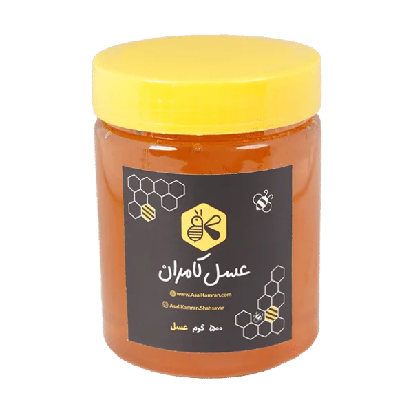 عسل گشنیز طبیعی 500 گرمی