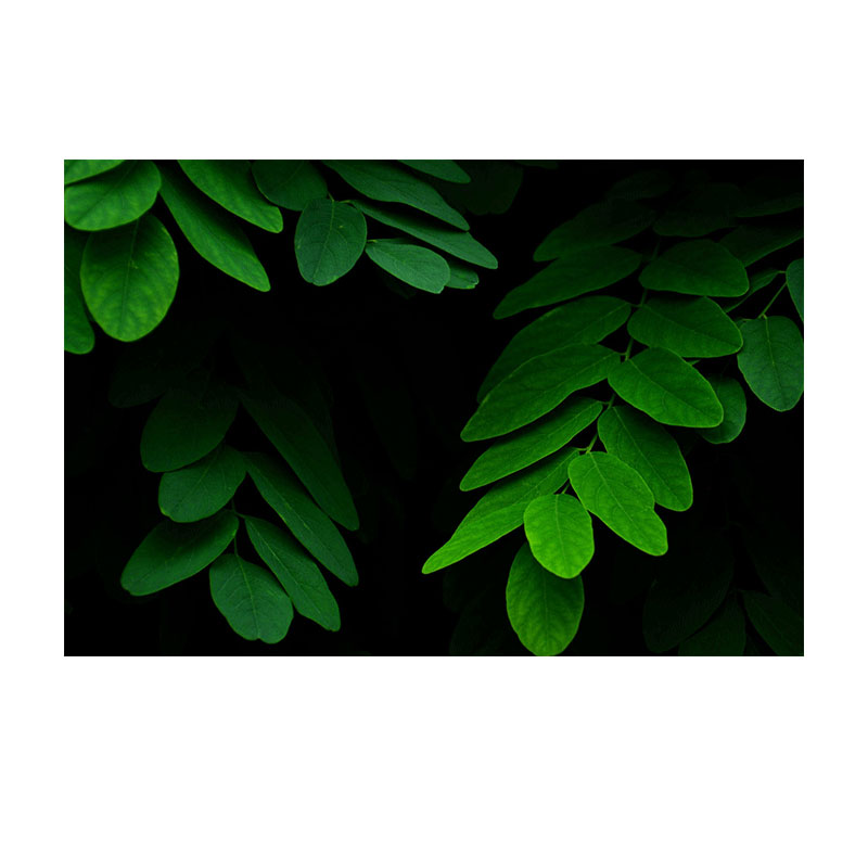 تابلو شاسی طرح برگ کد 6004