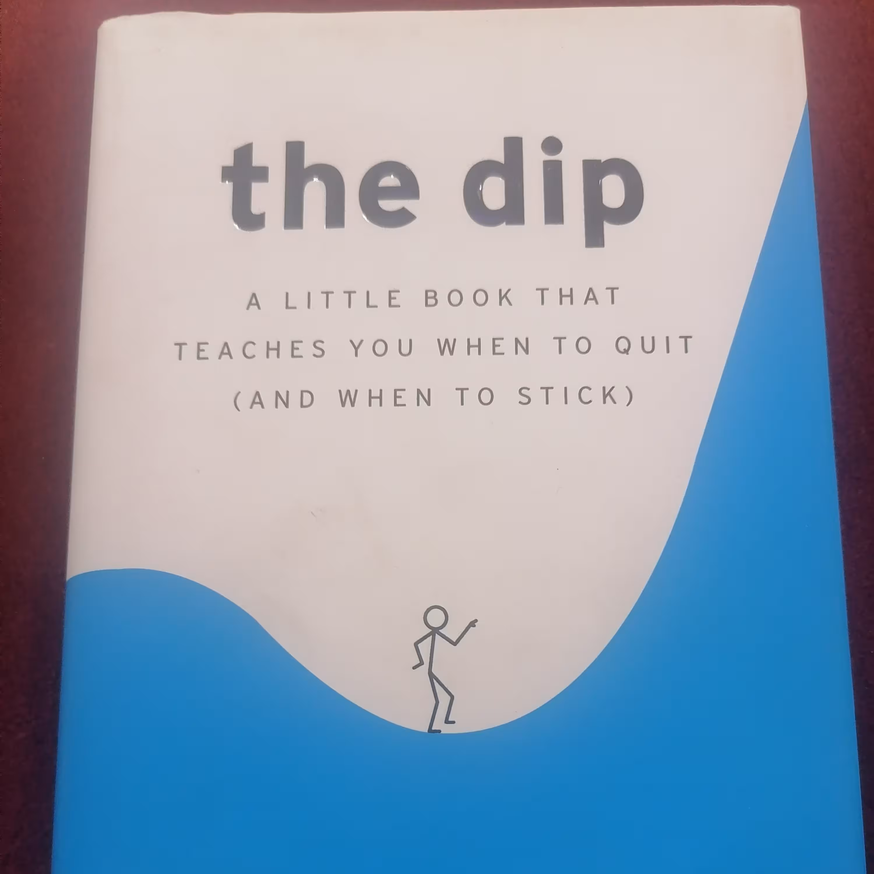 کتاب the dip