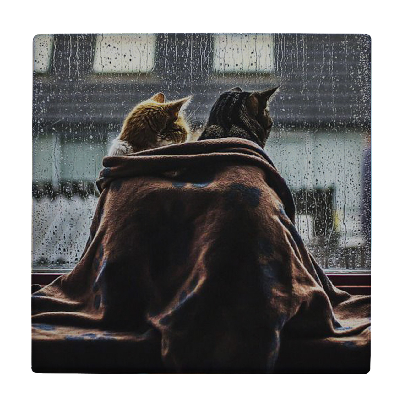 زیر لیوانی طرح گربه ها کد    3072123_245