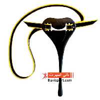 اصلاح تکنیک سر Finis posture trainer