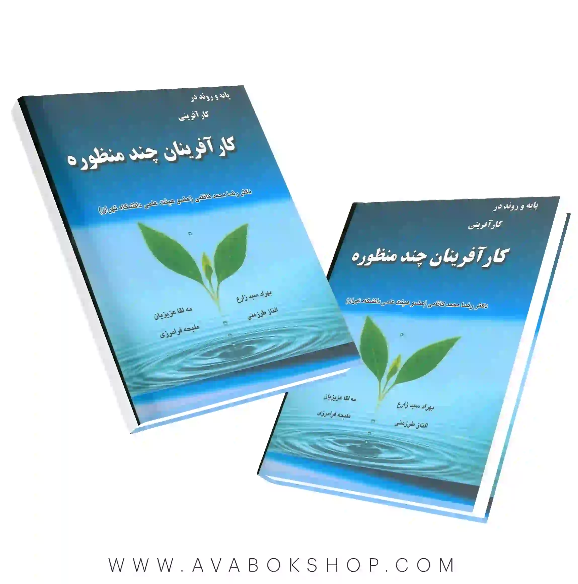 کتاب پایه و روند در کارآفرینی کارآفرینان چند منظوره انتشارات نرسی