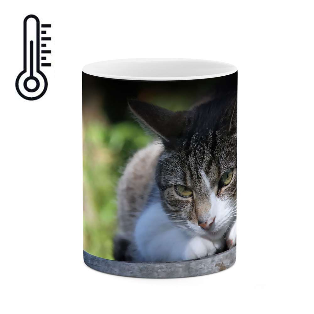 ماگ حرارتی طرح گربه مدل mgh10241