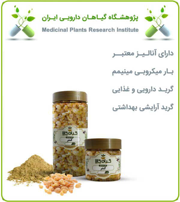 صمغ کندر خشک یا پودری بسته بندی