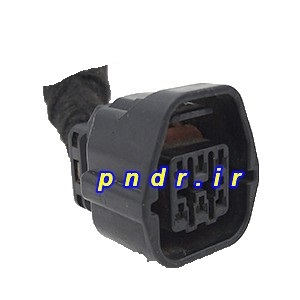 سوکت 6 فیش