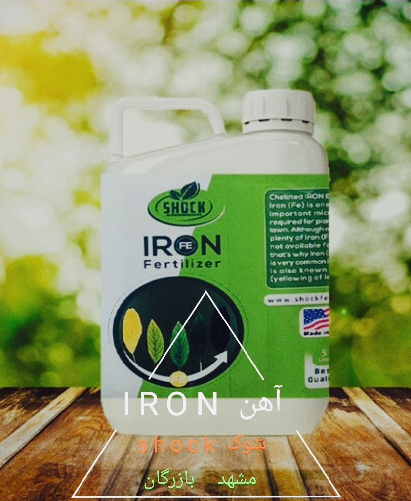 کود آهن مایع 5 لیتری شوک