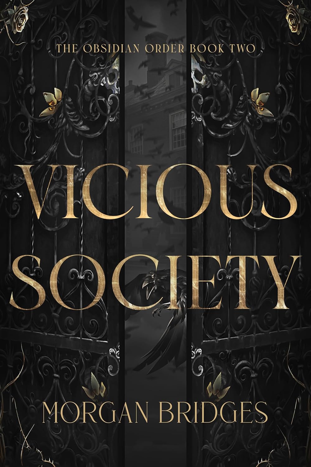 Vicious Society (The Obsidian Order Book 2)