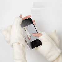 دستکش گرمکن فانتزی شارژی طرح بره ناقلا JP-nh001